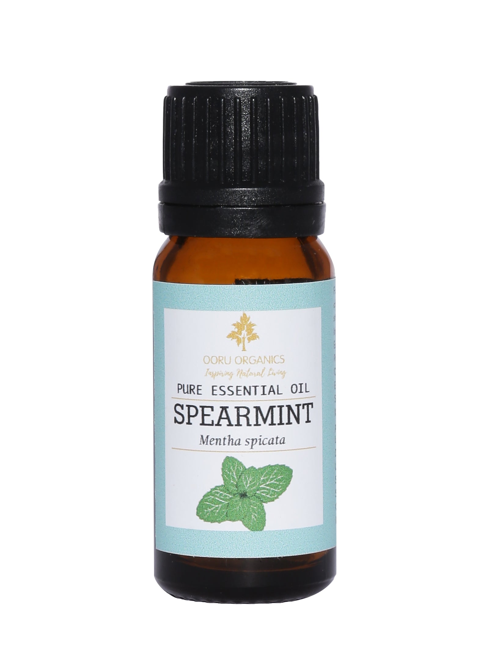 Spearmint Essential Oil