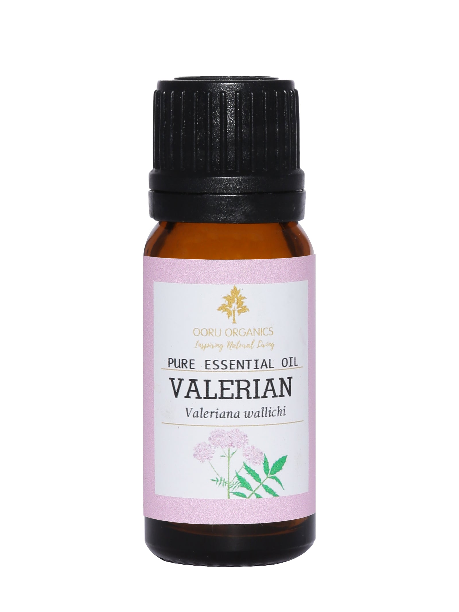 VALERIAN ESSENTIAL OIL