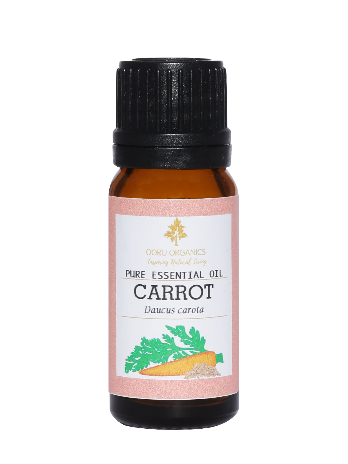 CARROT ESSENTIAL OIL