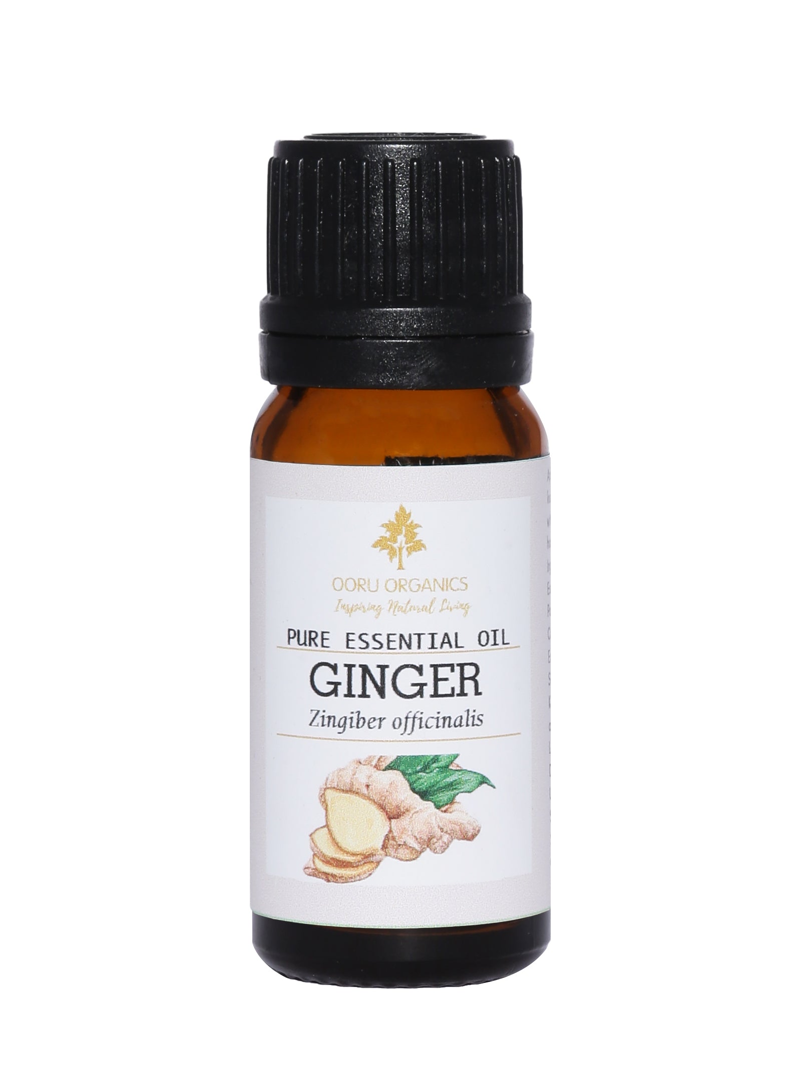 GINGER ESSENTIAL OIL