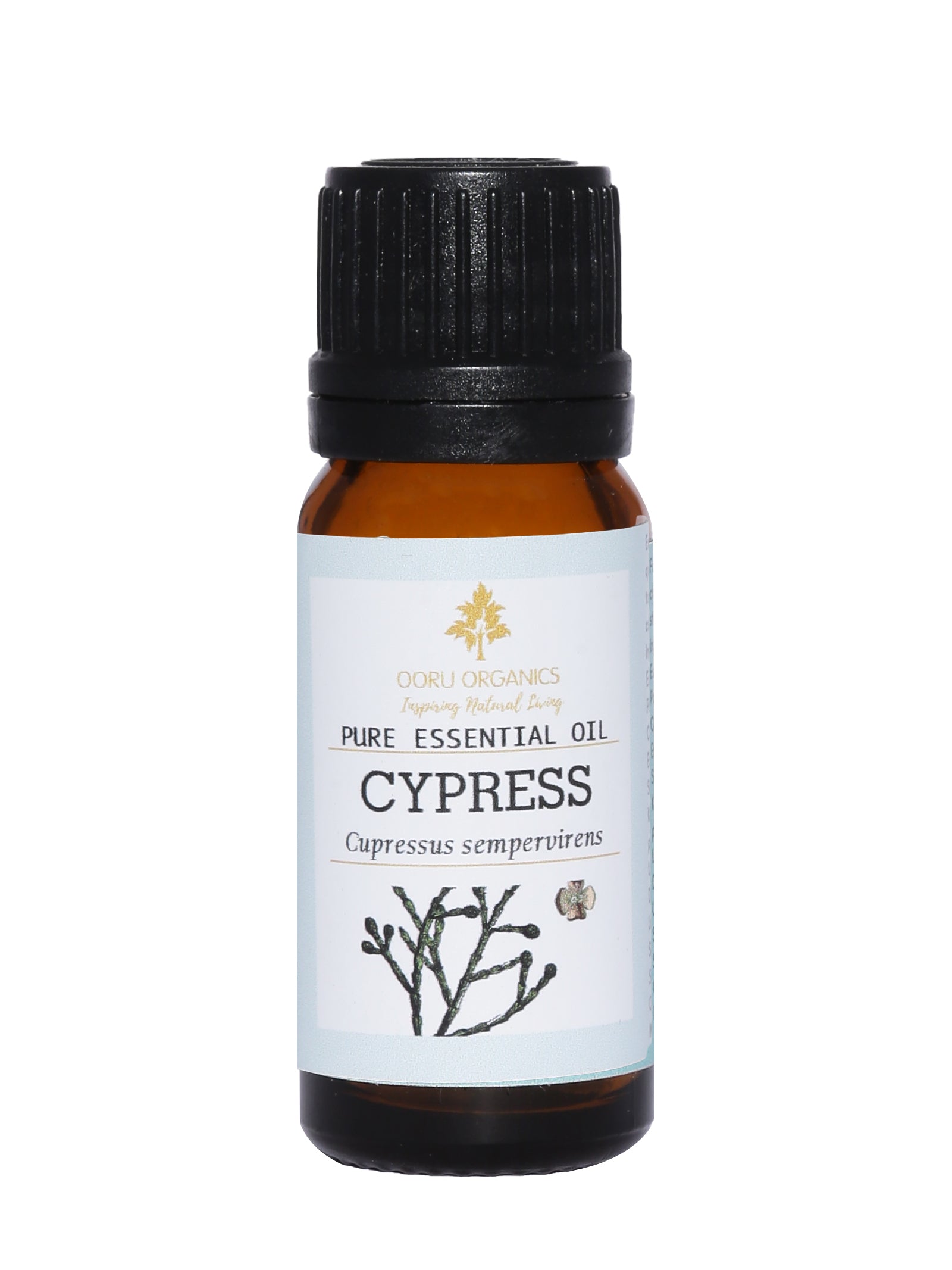 CYPRESS ESSENTIAL OIL