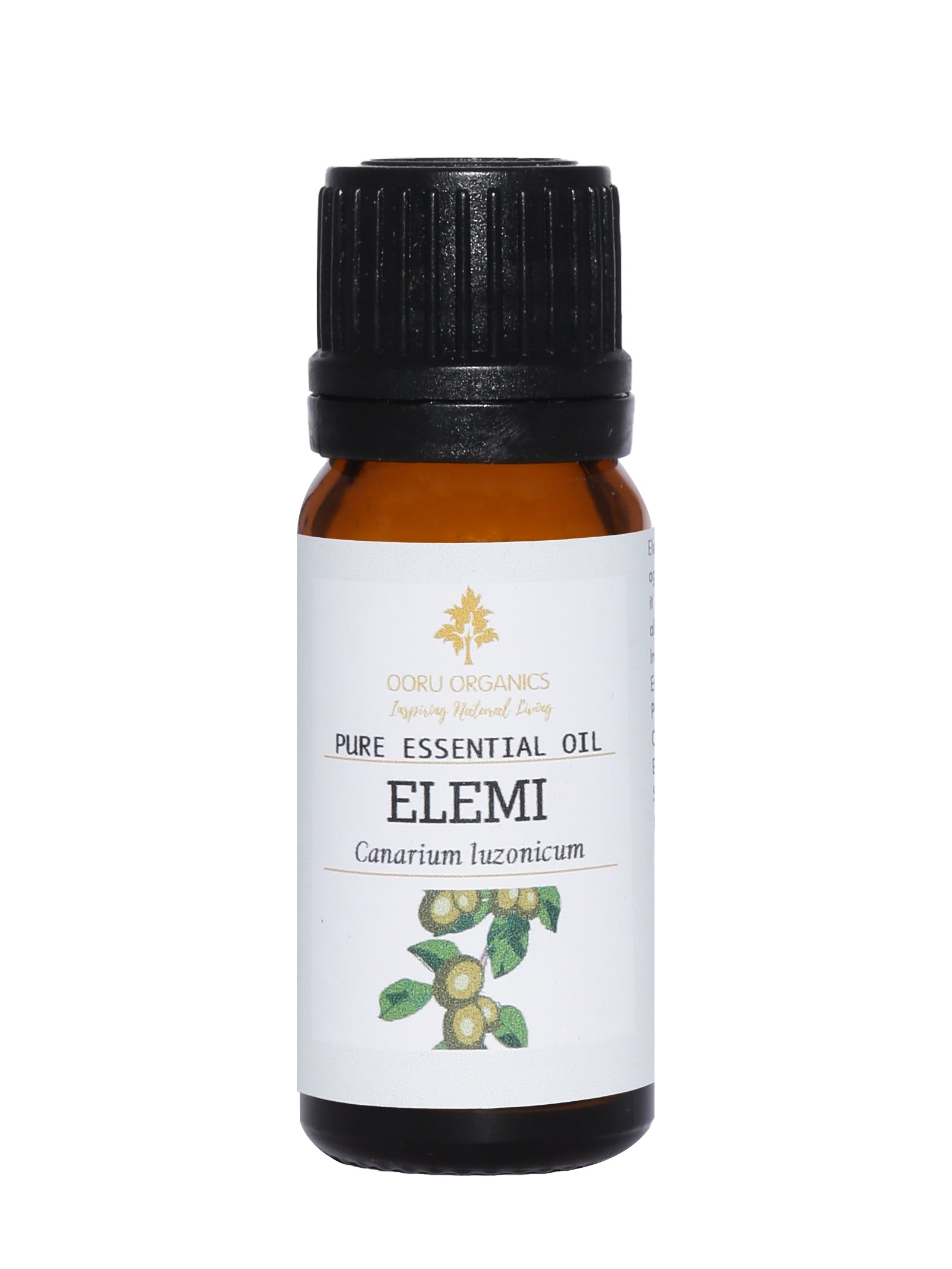ELEMI ESSENTIAL OIL
