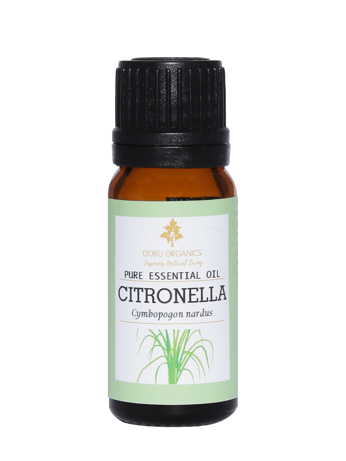 CITRONELLA ESSENTIAL OIL