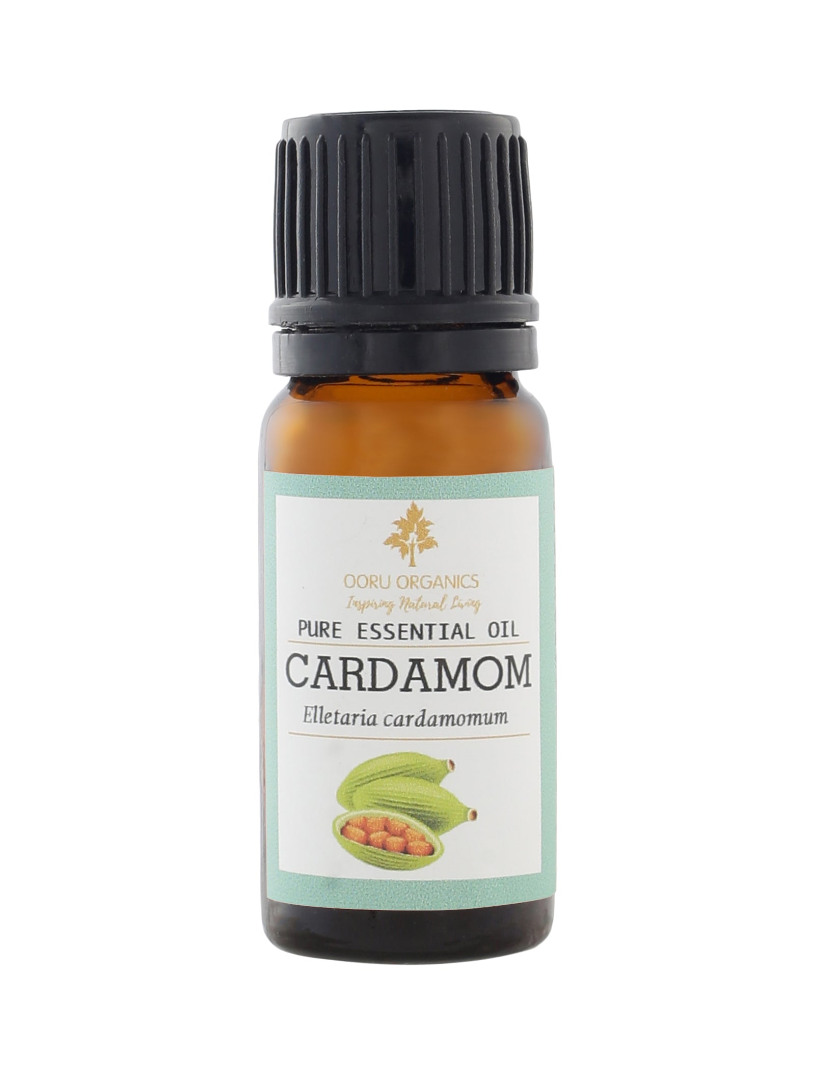 CARDAMOM ESSENTIAL OIL