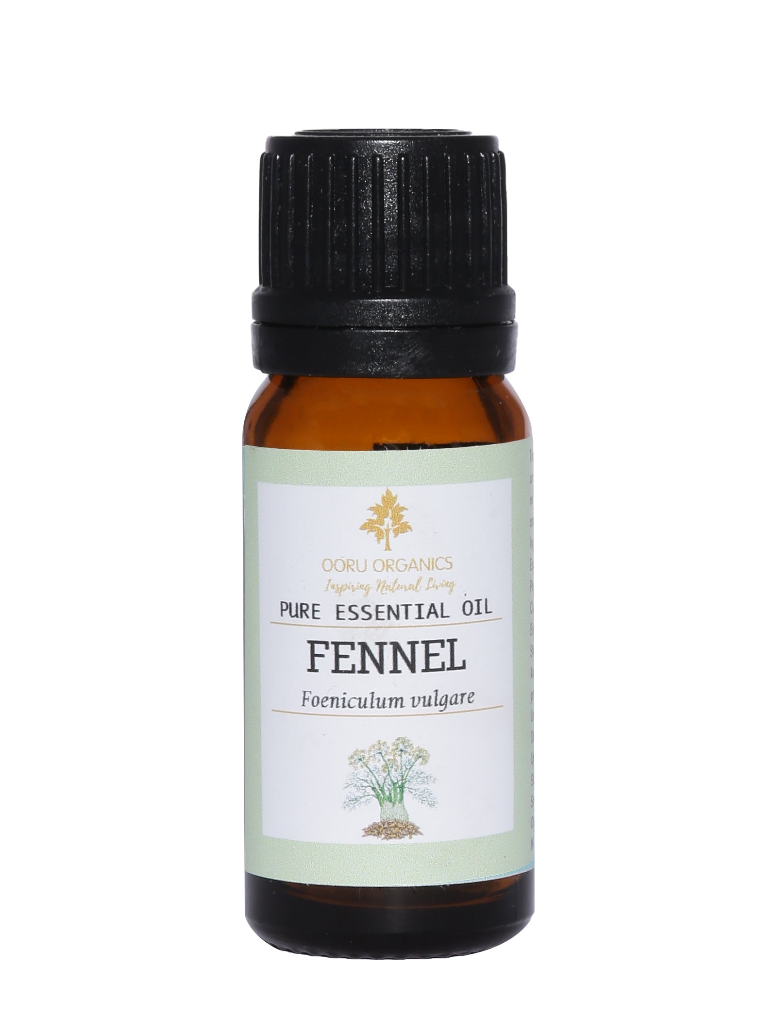FENNEL ESSENTIAL OIL