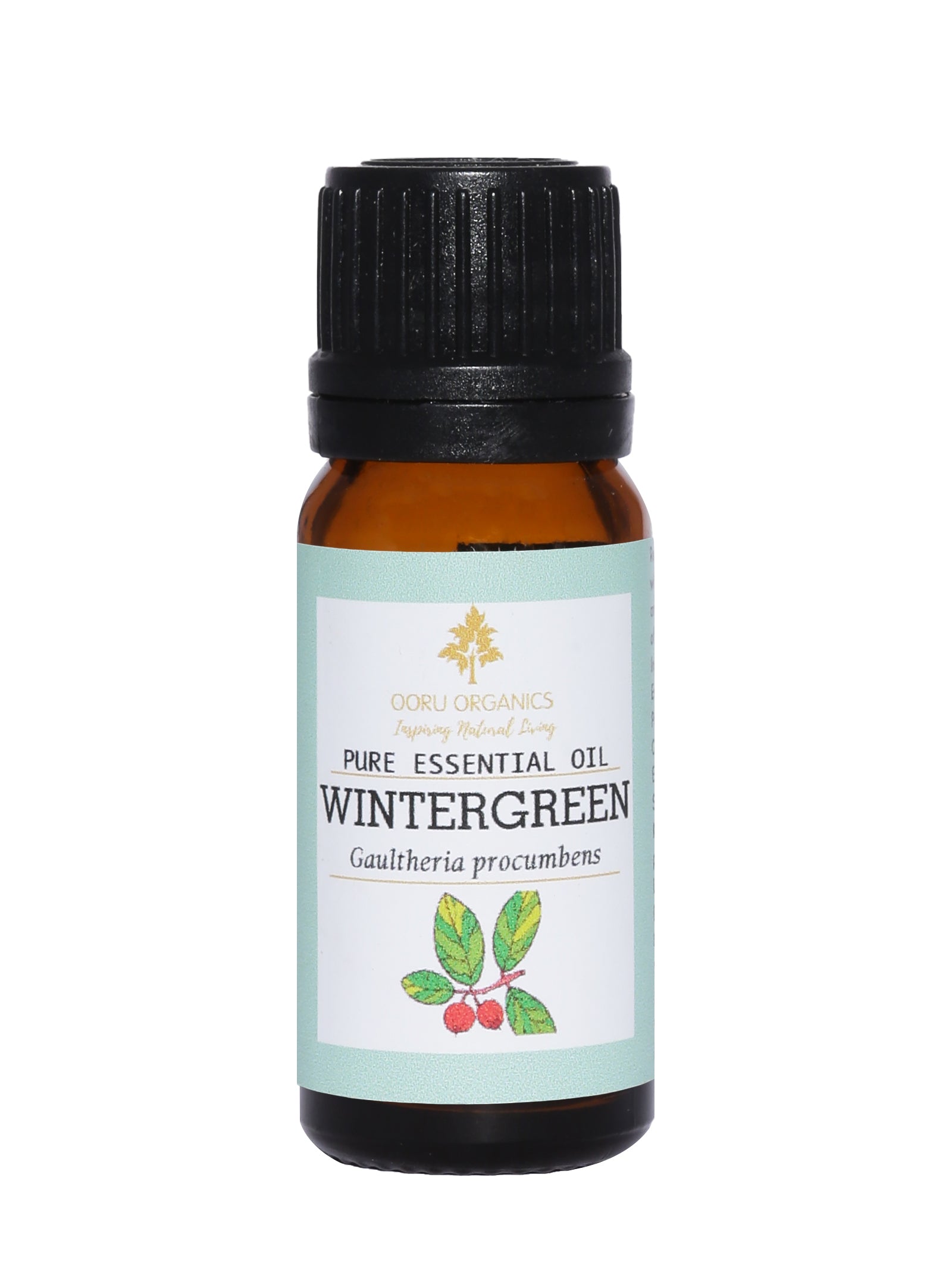 WINTERGREEN ESSENTIAL OIL