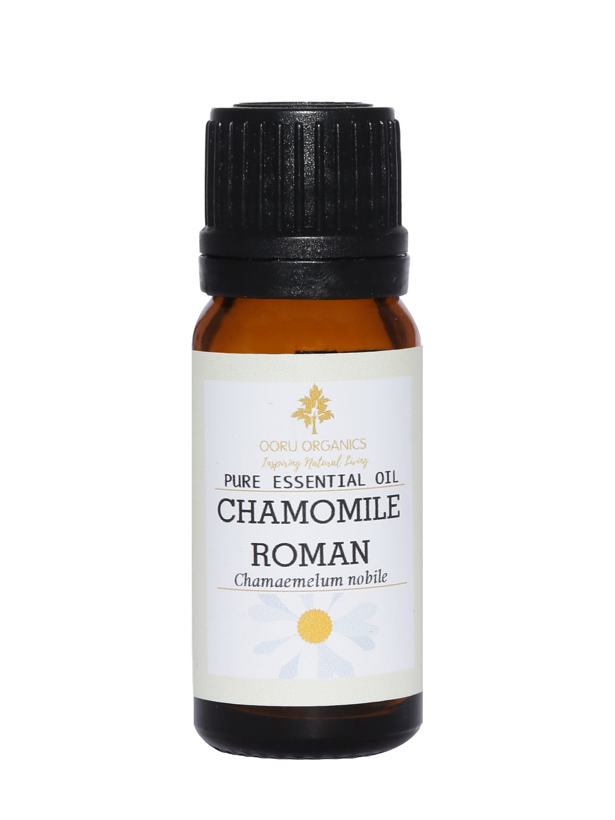 CHAMOMILE ESSENTIAL OIL (ROMAN)