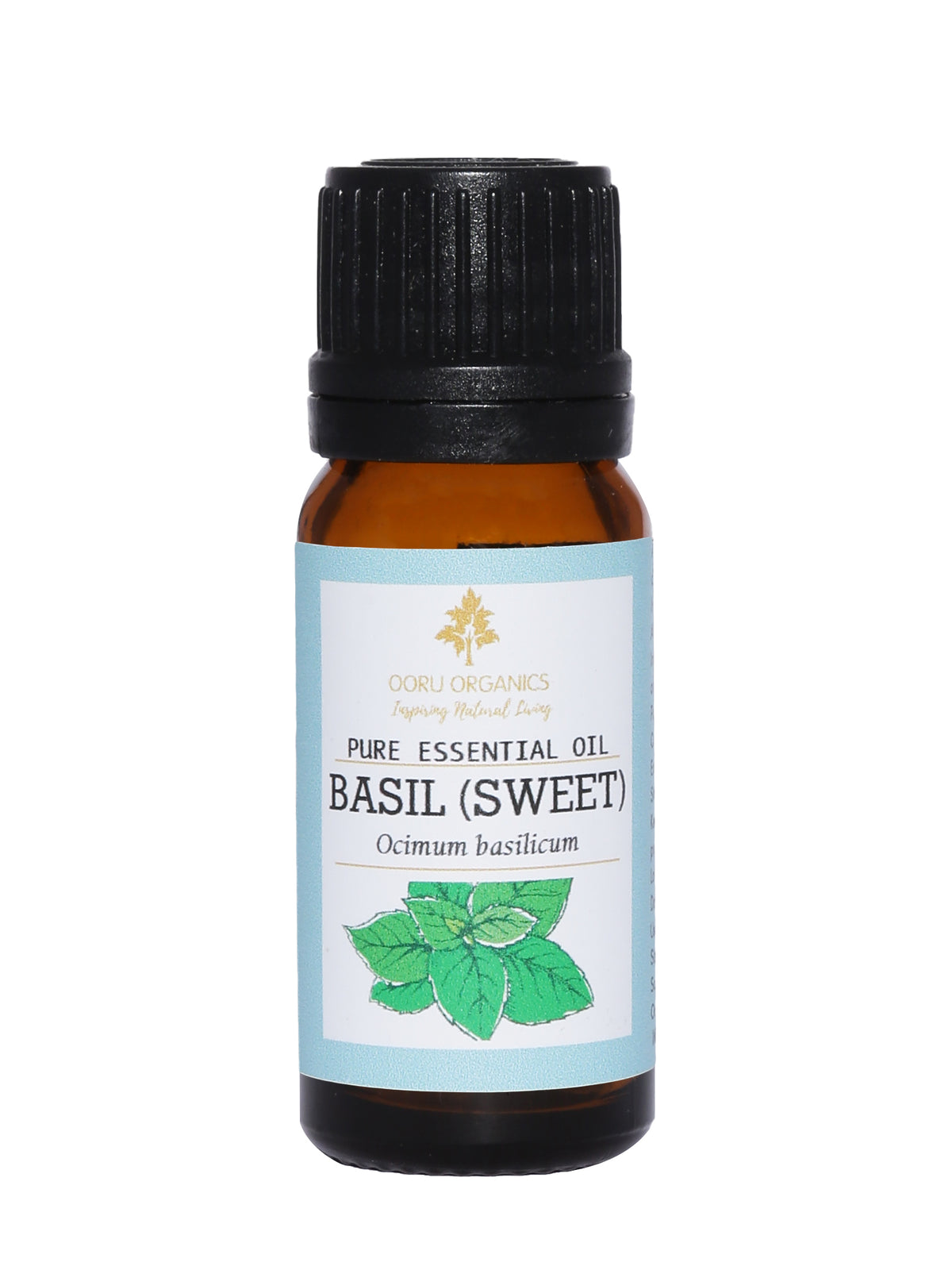 Basil Sweet Essential Oil