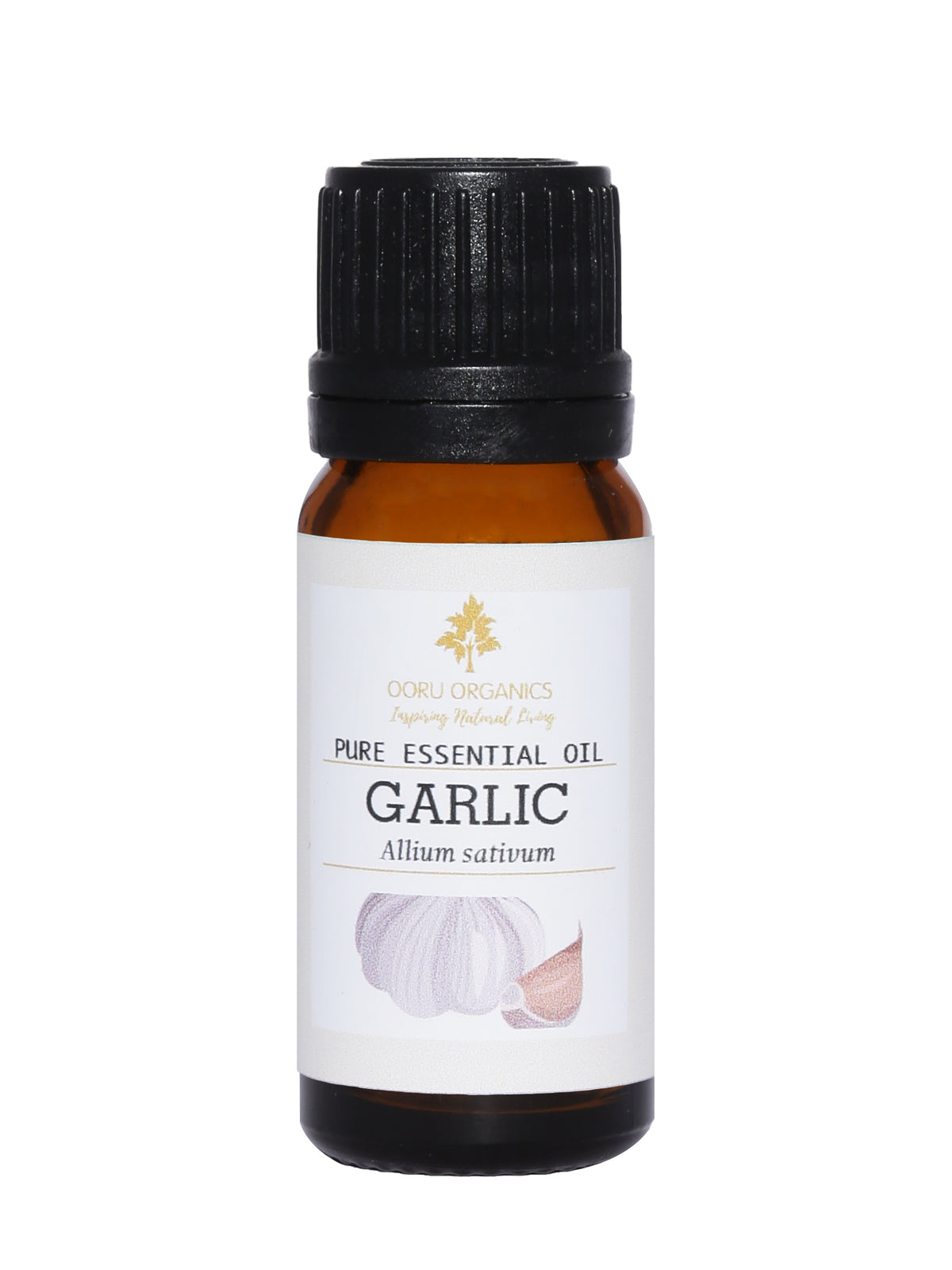 GARLIC ESSENTIAL OIL