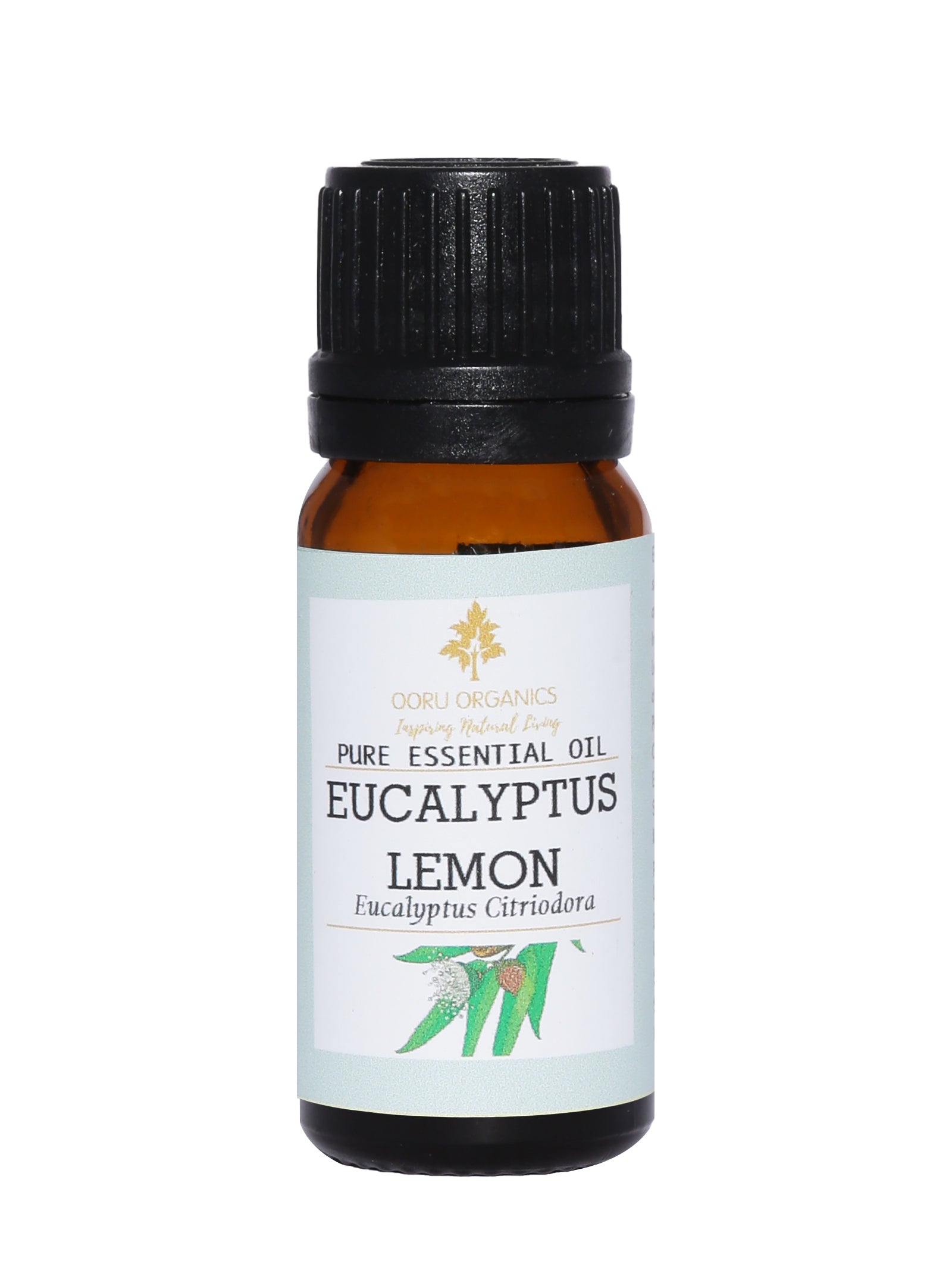 EUCALYPTUS LEMON ESSENTIAL OIL