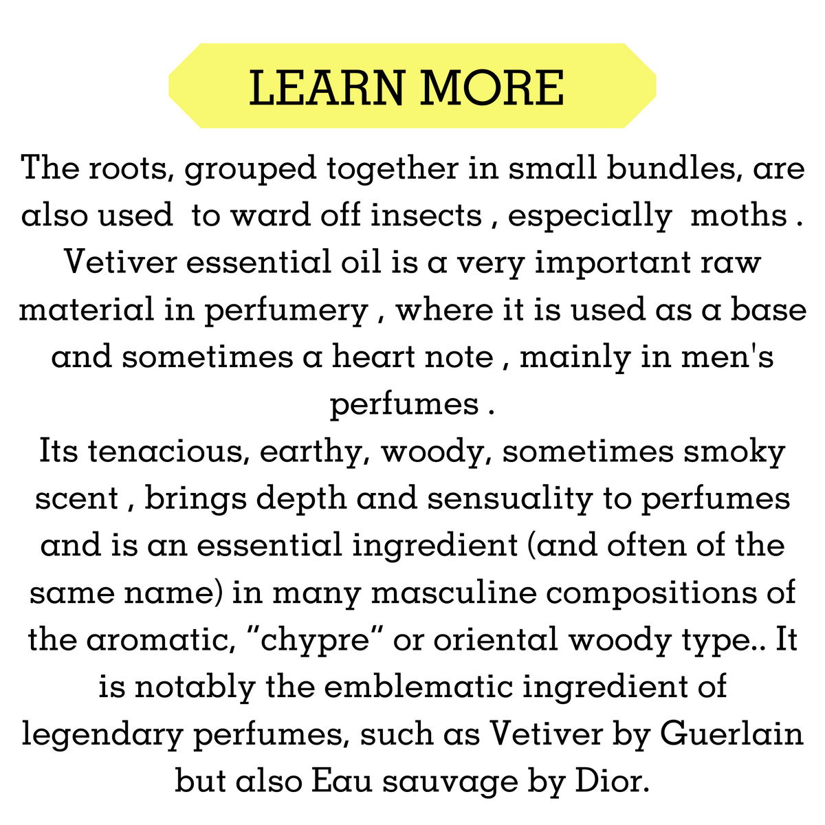 VETIVER ESSENTIAL OIL