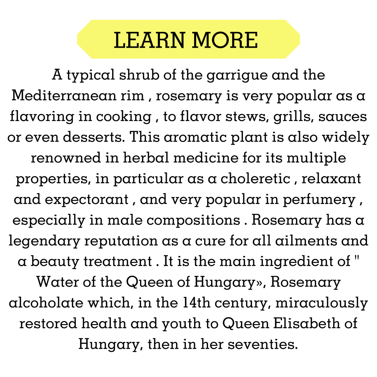 ROSEMARY ESSENTIAL OIL