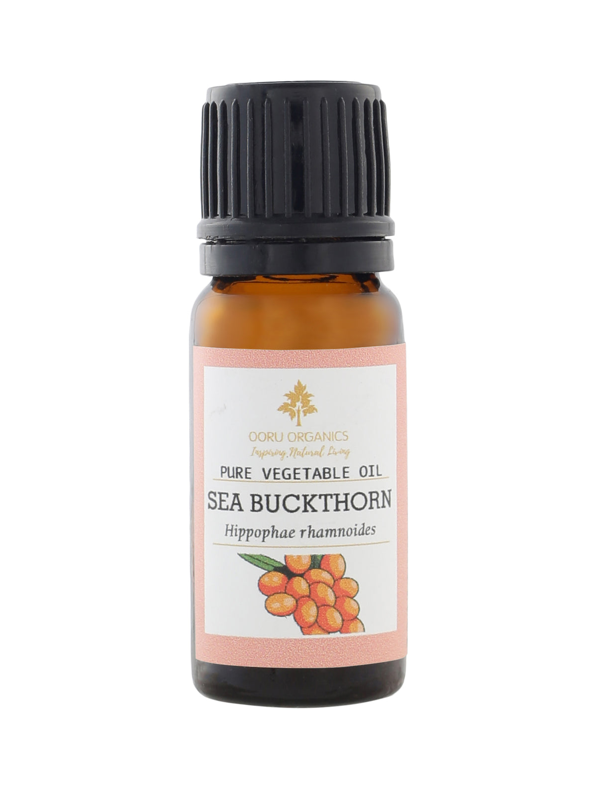 SEA BUCKTHORN VEGETABLE OIL
