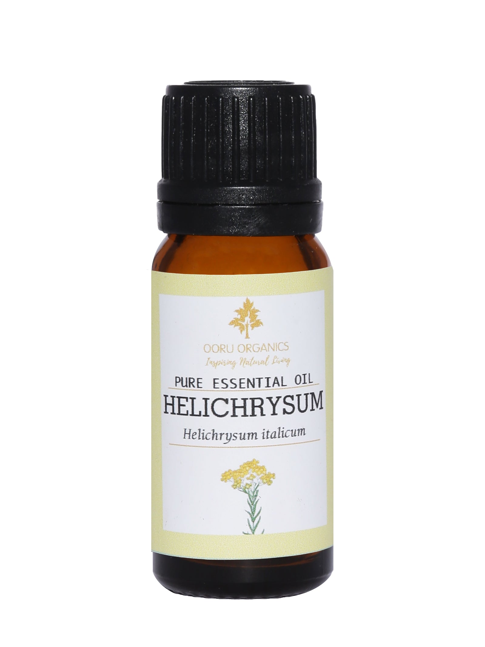 HELICHRYSUM ESSENTIAL OIL