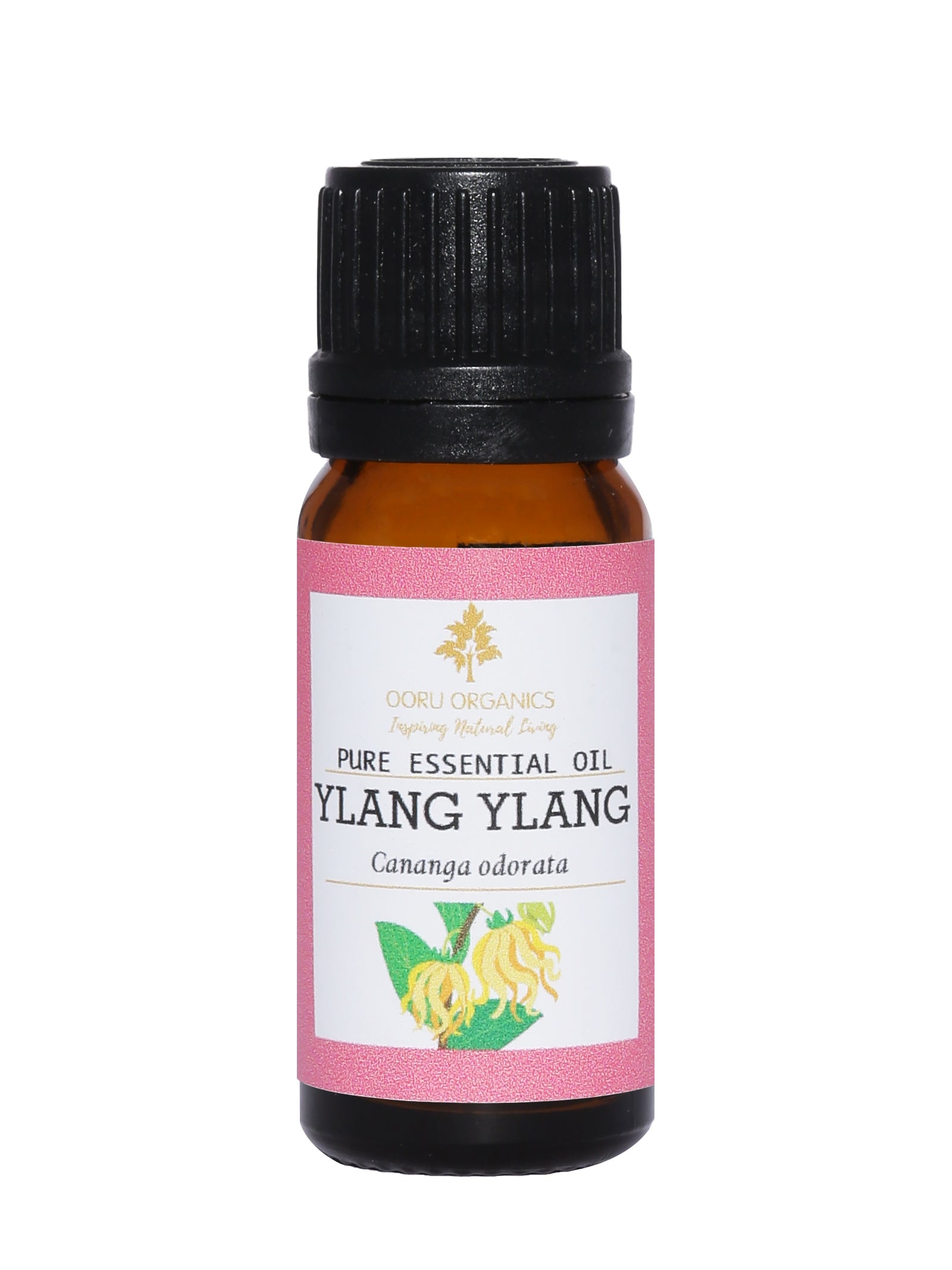 YLANG YLANG ESSENTIAL OIL