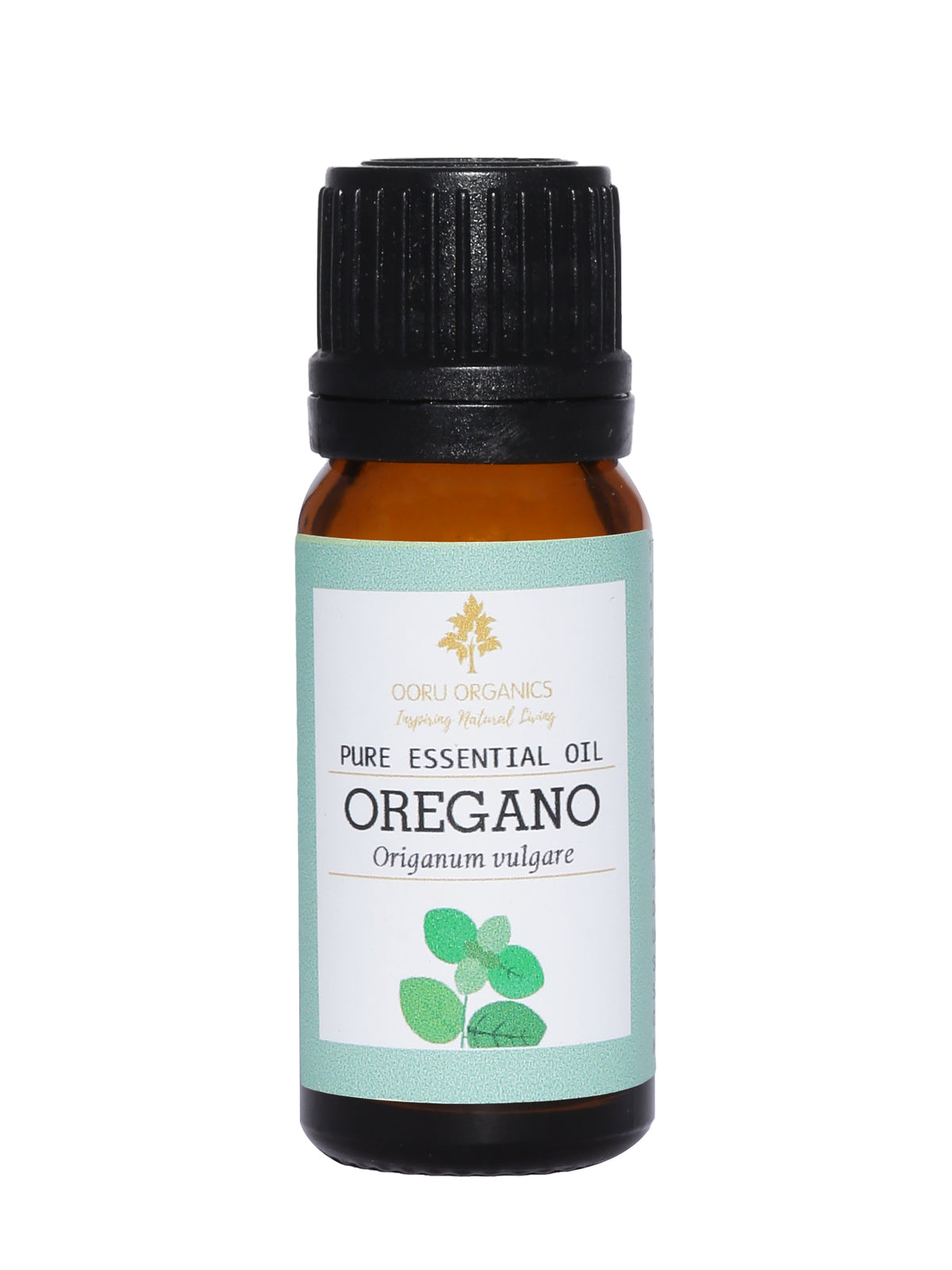 Oregano Essential Oil