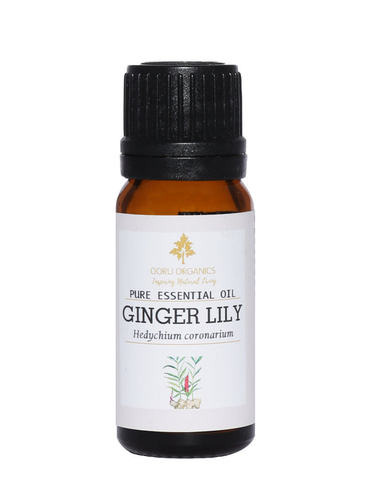 GINGEL LILY ESSENTIAL OIL