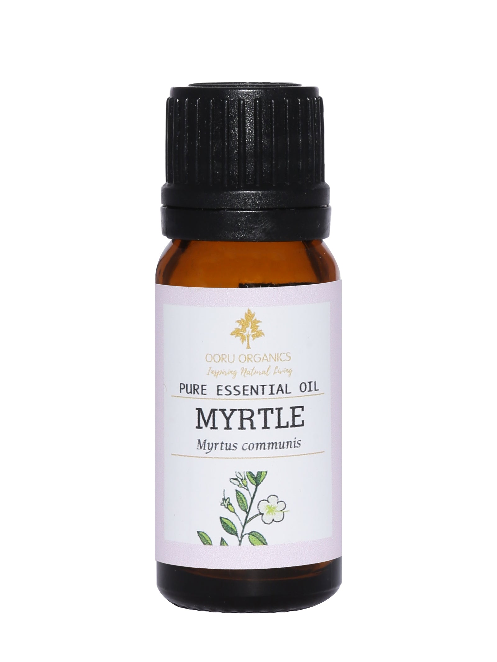 MYRTLE ESSENTIAL OIL