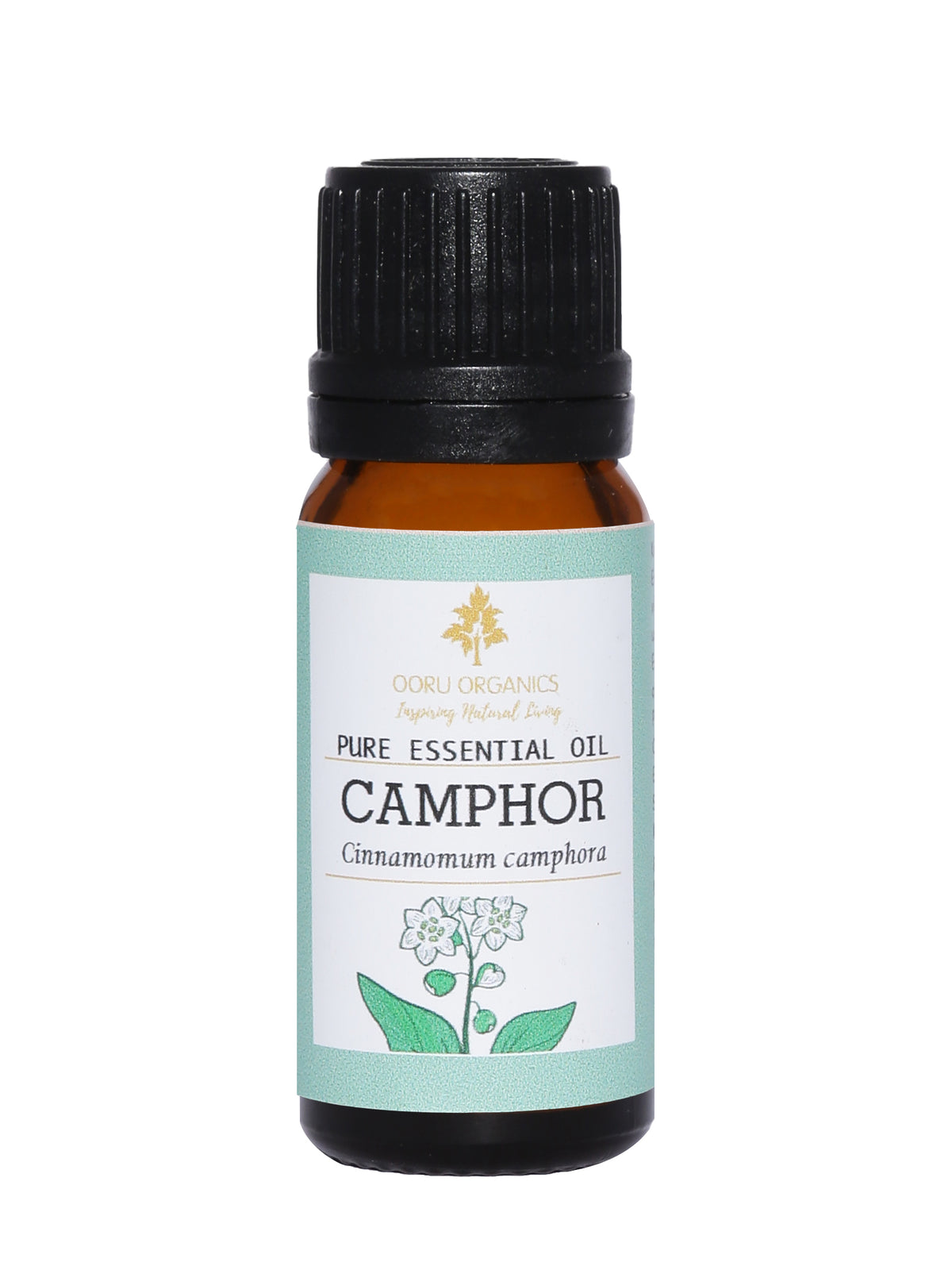 CAMPHOR ESSENTIAL OIL