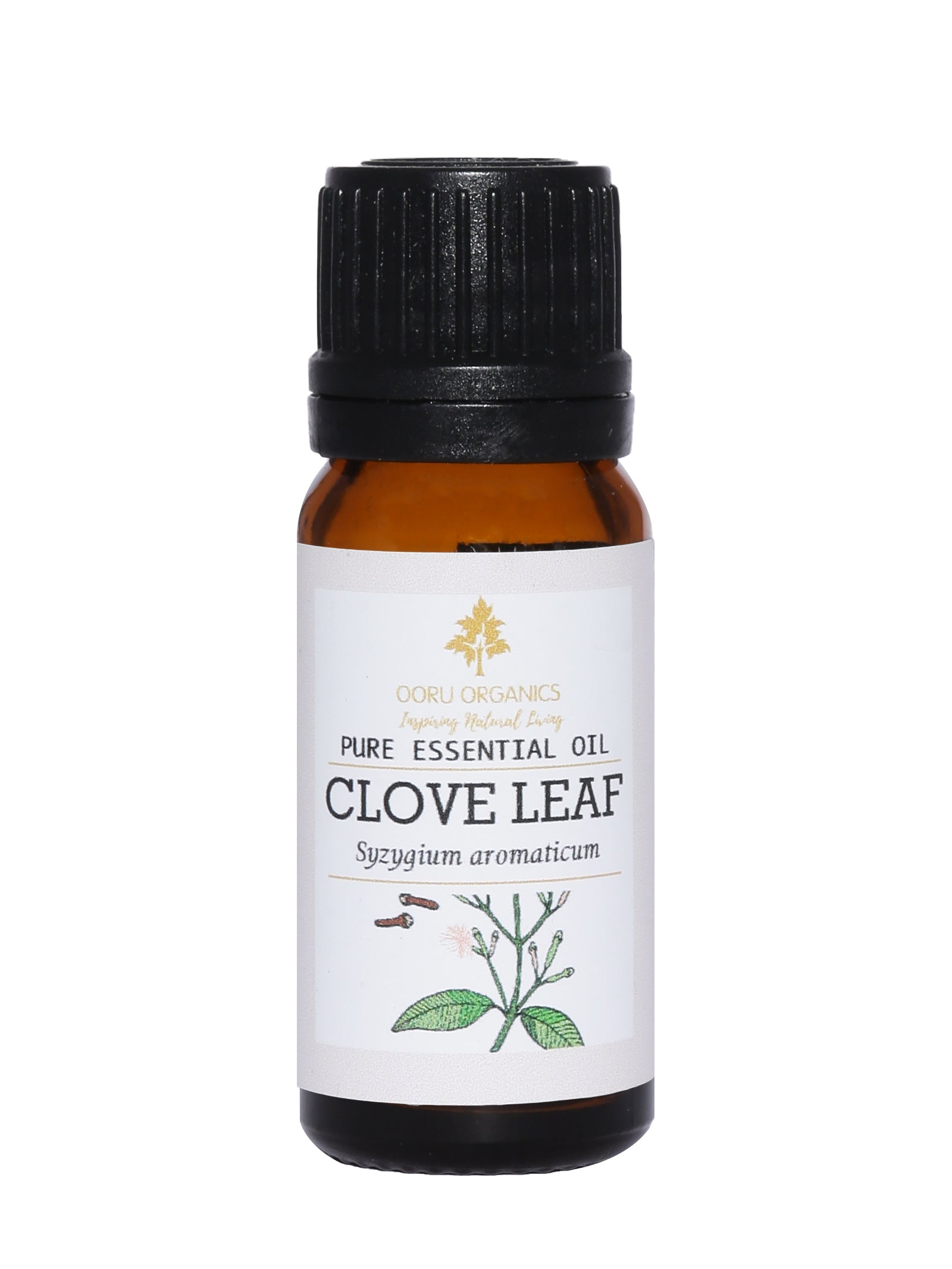 CLOVE LEAF ESSENTIAL OIL