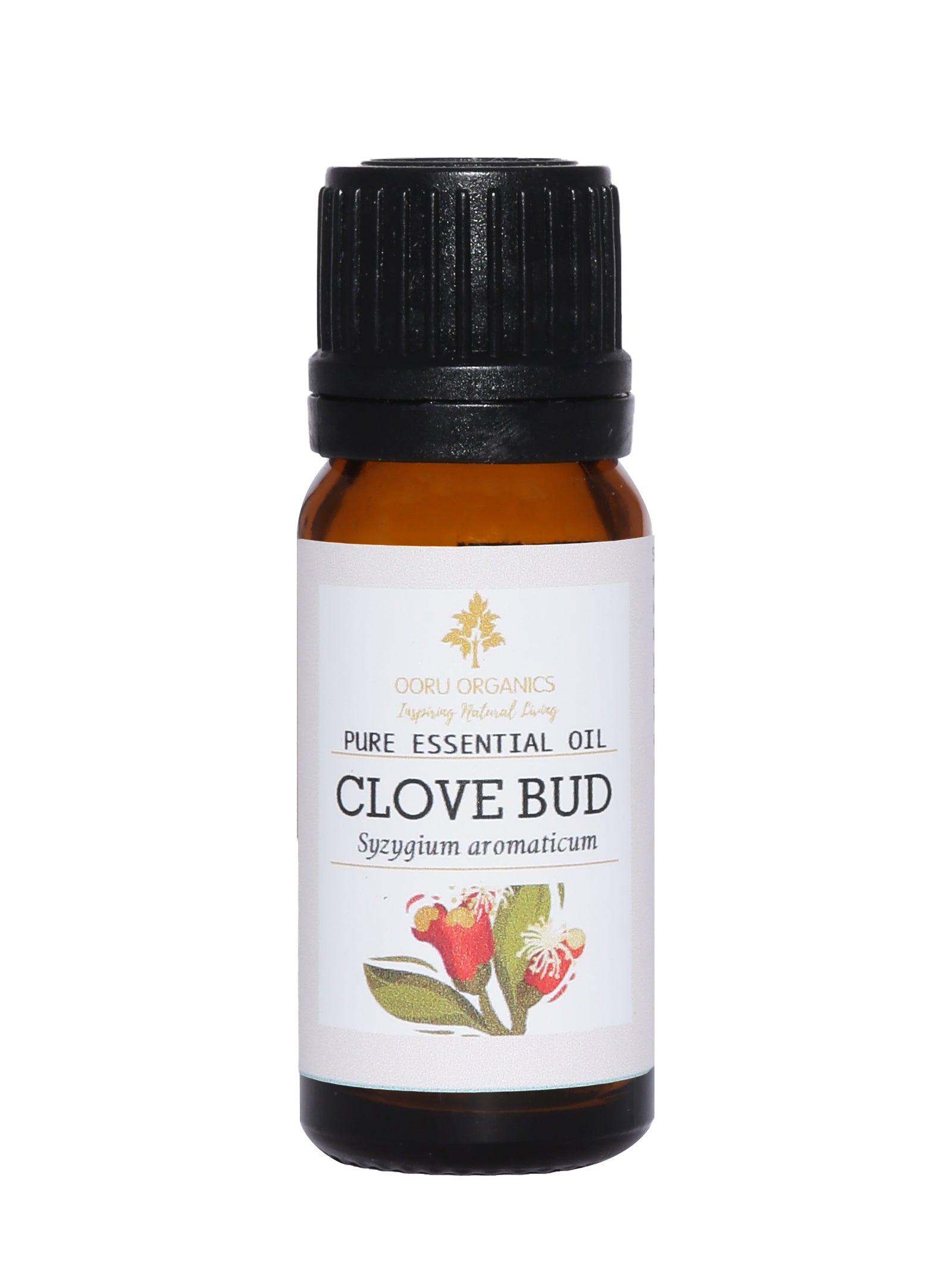 CLOVE BUD ESSENTIAL OIL
