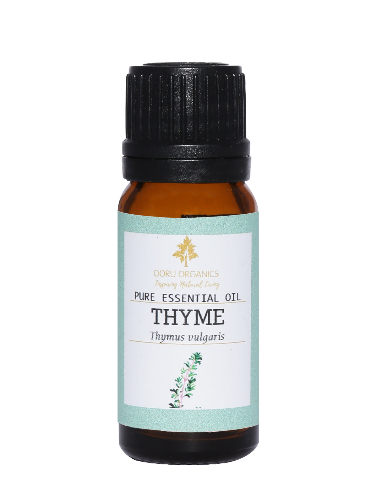 THYME ESSENTIAL OIL