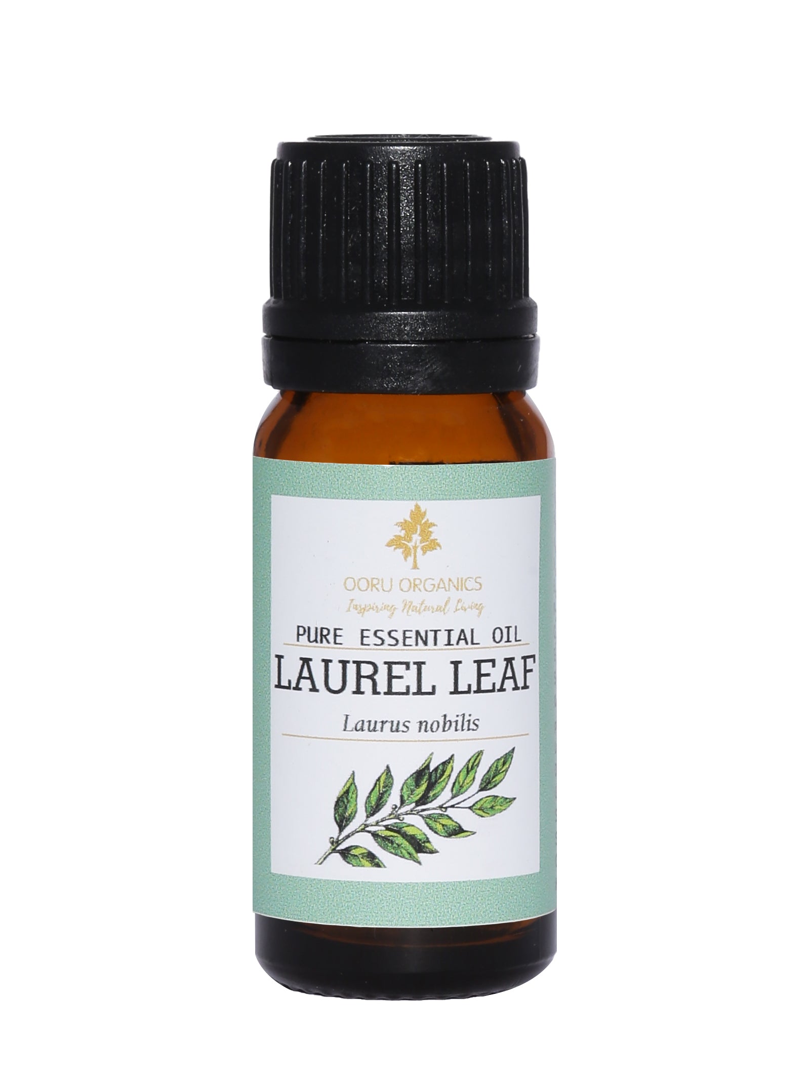 LAUREL LEAF ESSENTIAL OIL