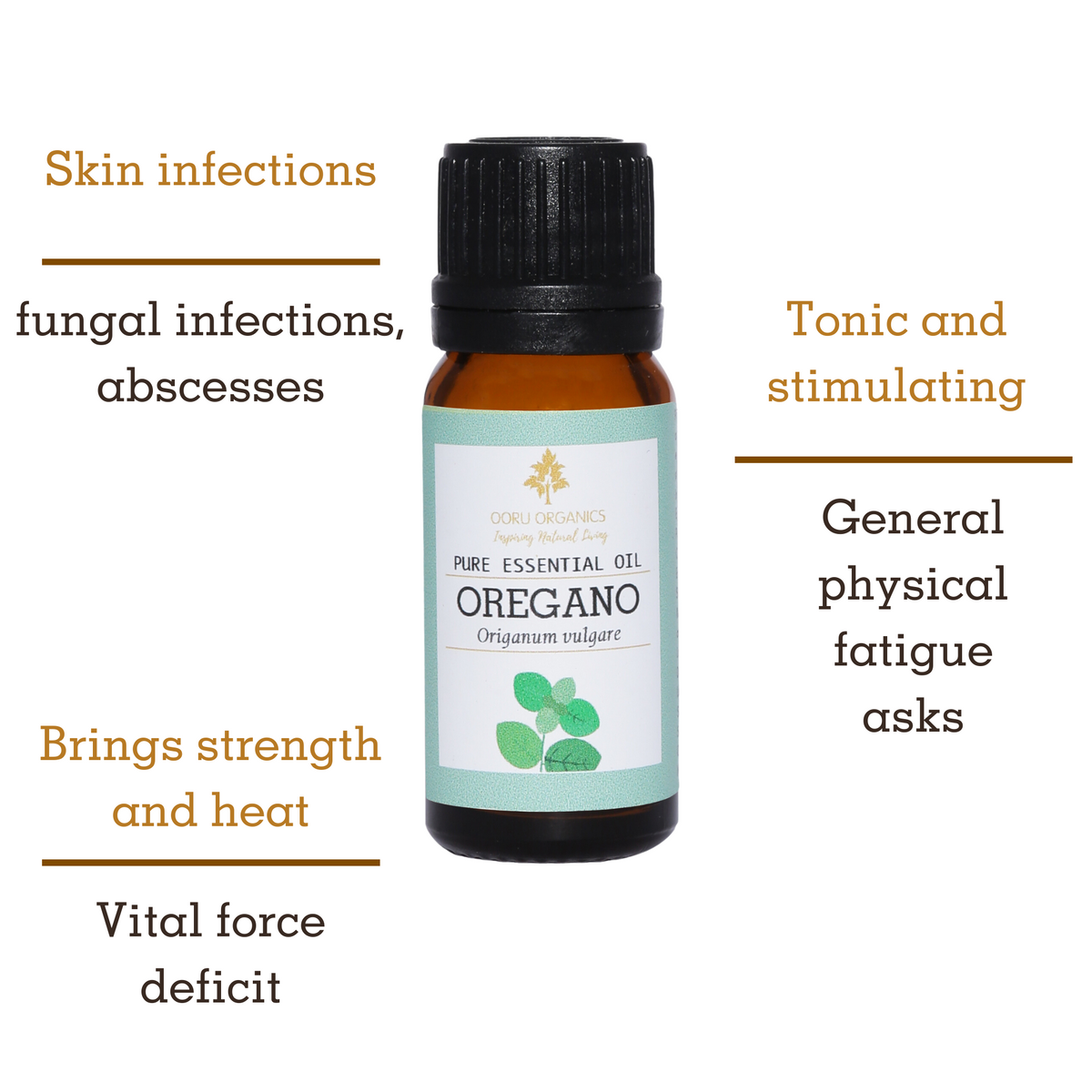 Uses of Oregano Essential Oil