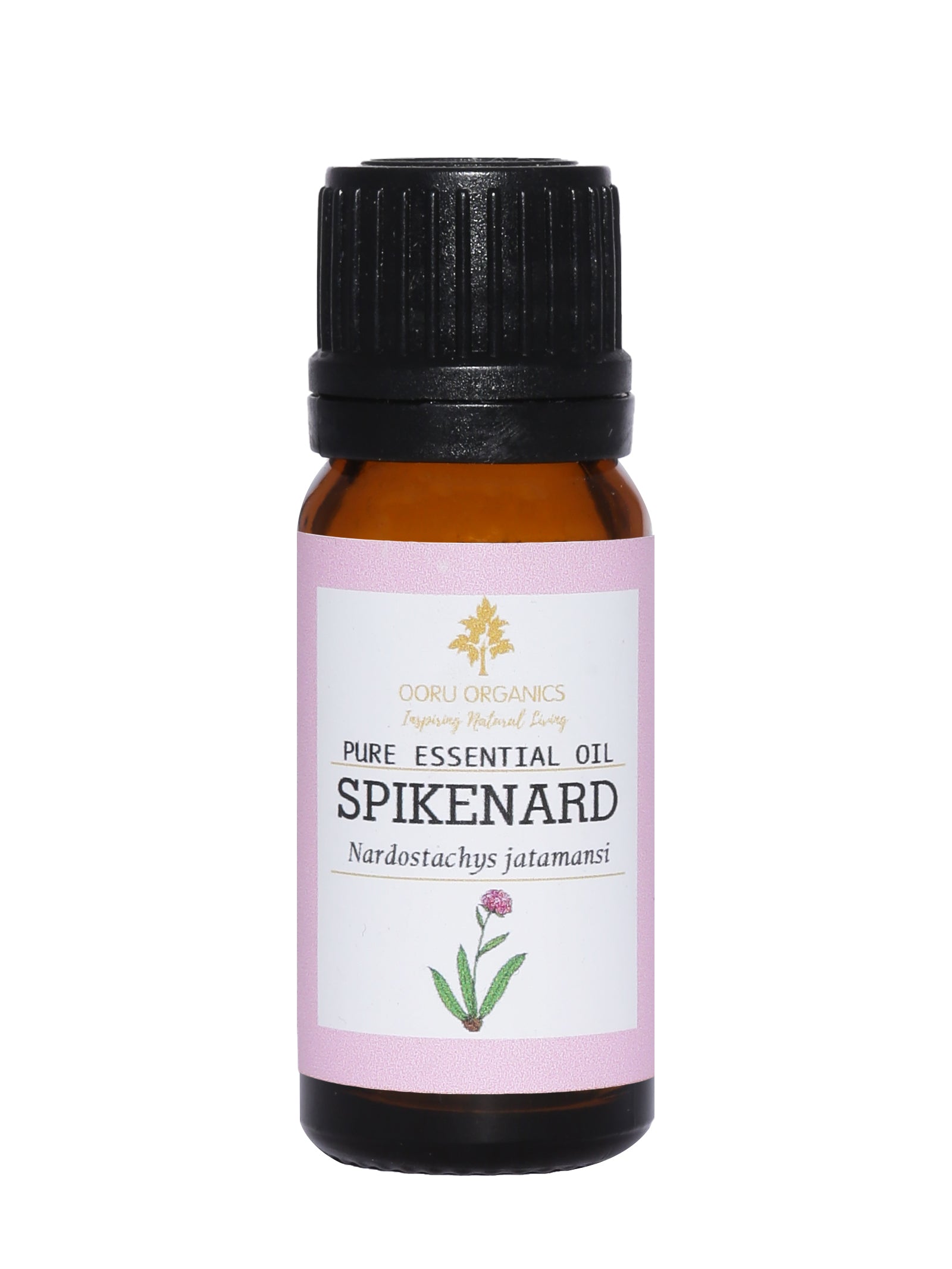 SPIKENARD ESSENTIAL OIL