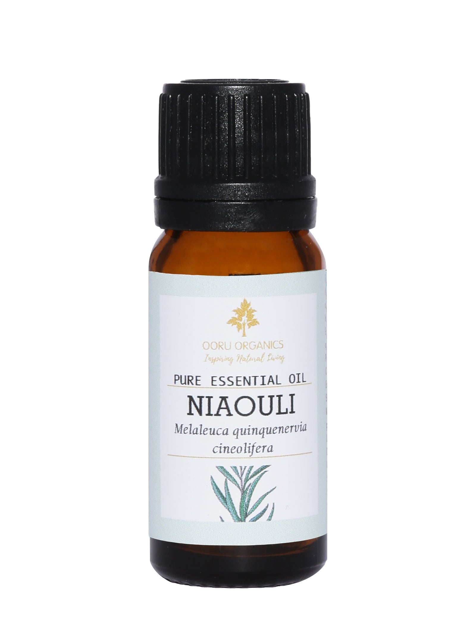 NIAOULI ESSENTIAL OIL