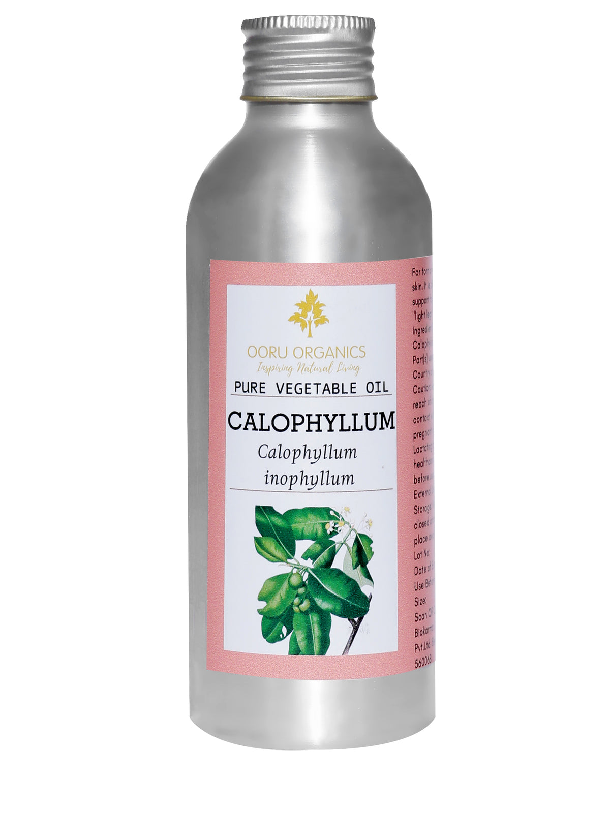 CALOPHYLLUM VEGETABLE OIL