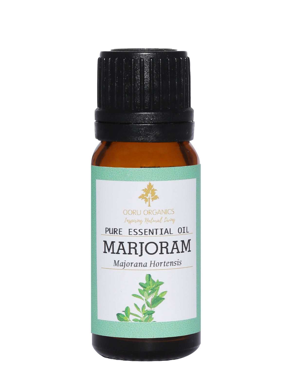 MARJORAM ESSENTIAL OIL