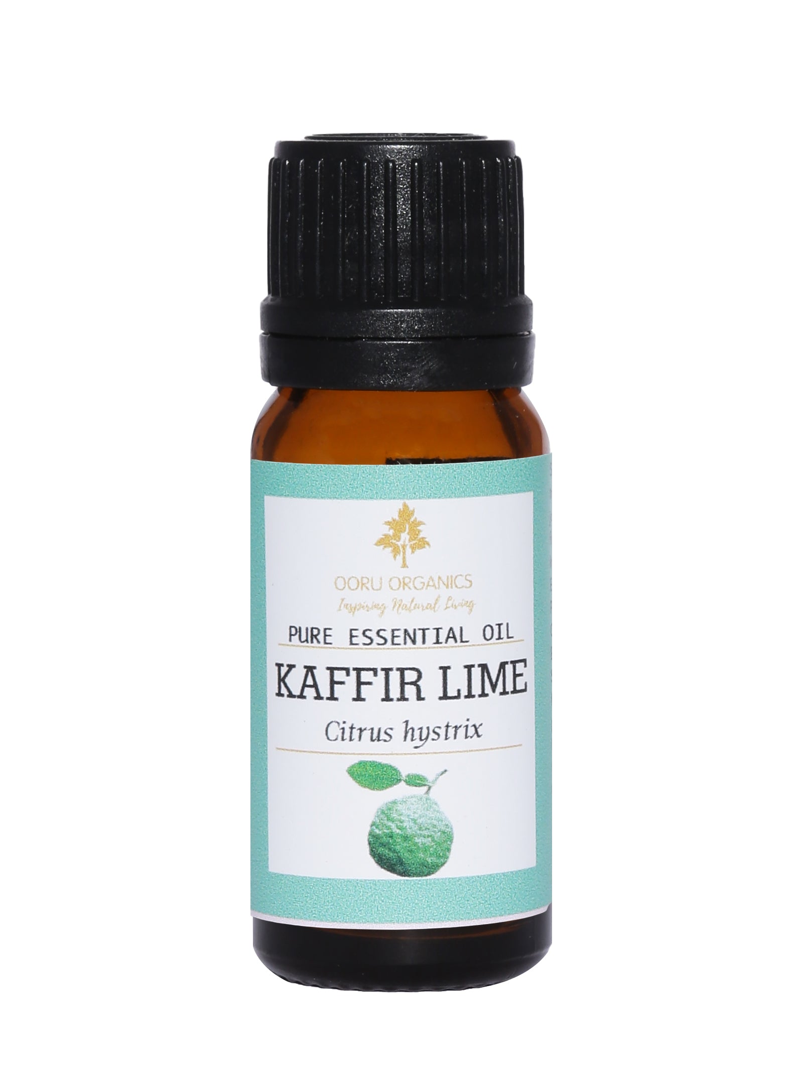 KAFFIR LIME ESSENTIAL OIL