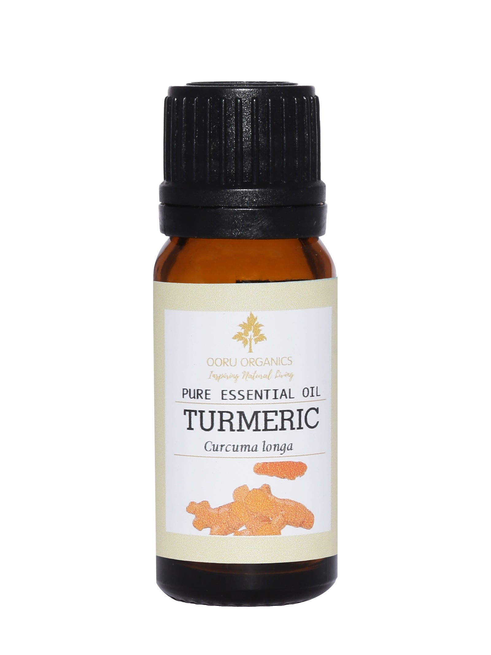 TURMERIC ESSENTIAL OIL
