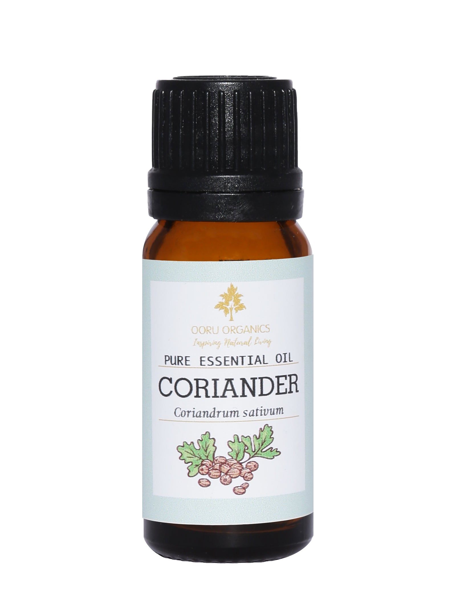 CORIANDER ESSENTIAL OIL
