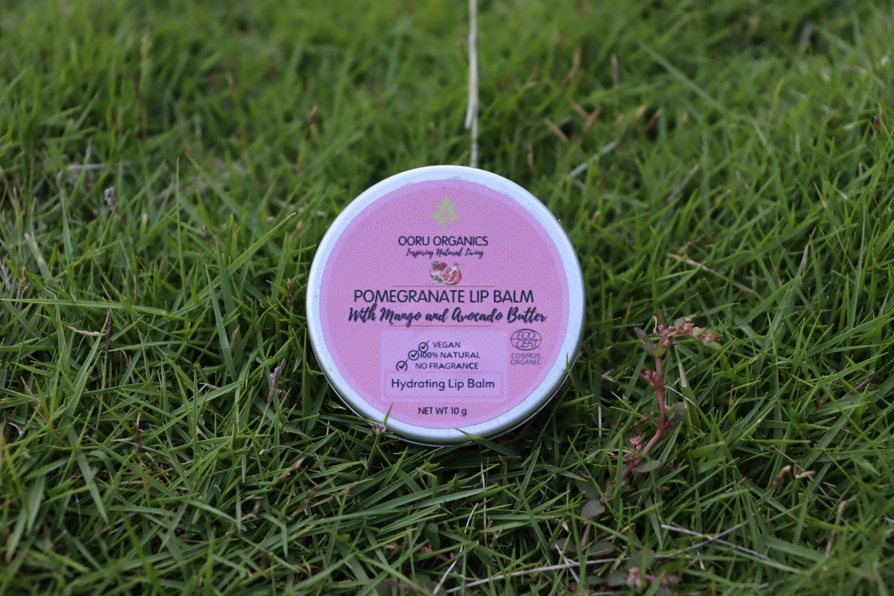 Pomegranate and Mango Butter Lip Balm