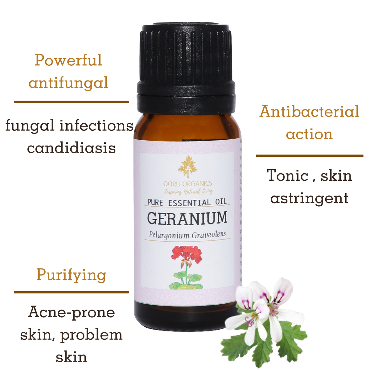 GERANIUM ESSENTIAL OIL
