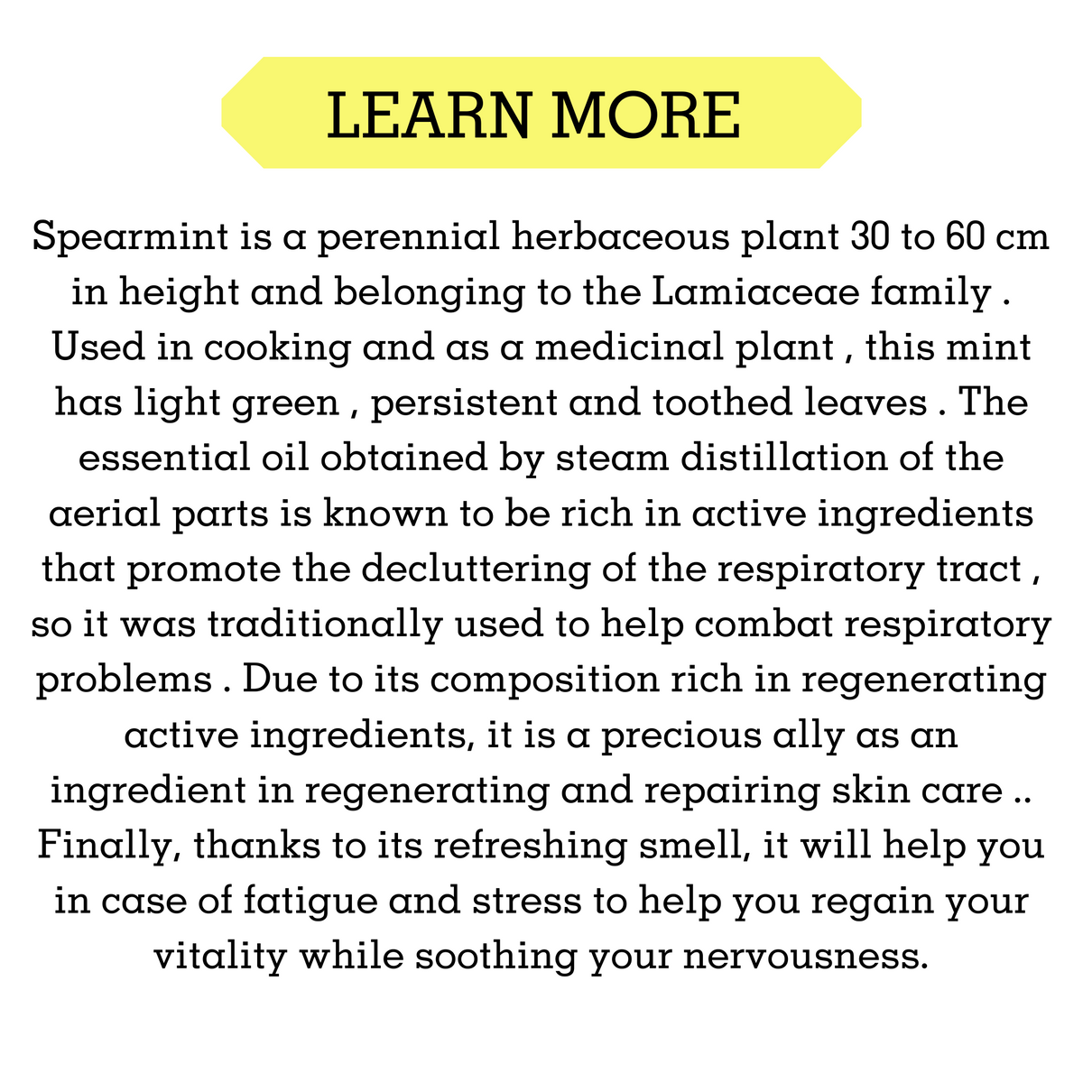 SPEARMINT ESSENTIAL OIL