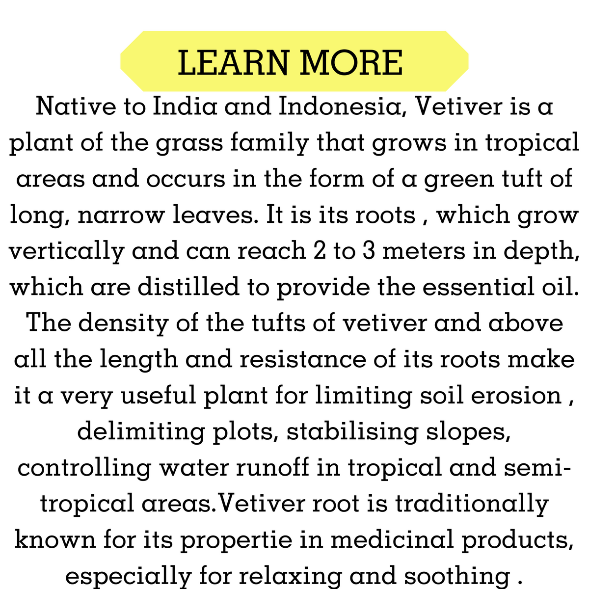 VETIVER ESSENTIAL OIL