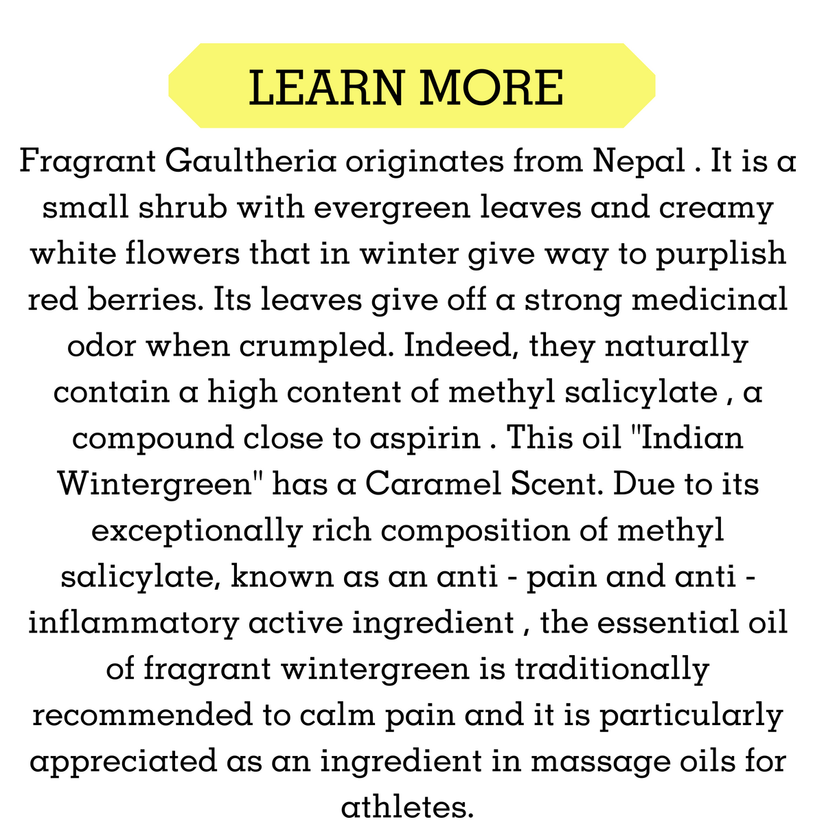 WINTERGREEN ESSENTIAL OIL