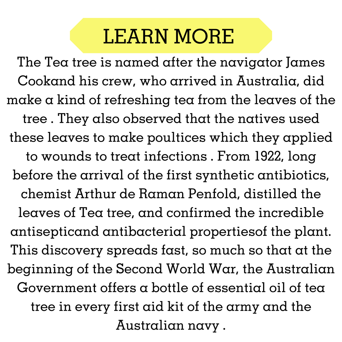 Tea Tree Essential Oil: Diving into Its Powerful Health and Wellness Benefits